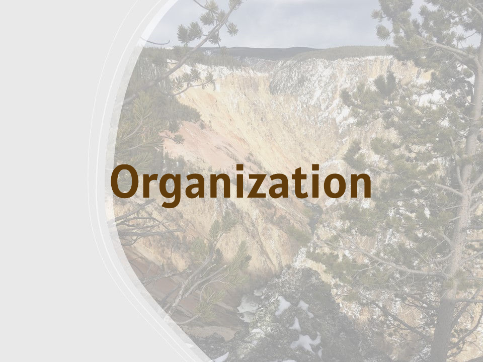 Organization
