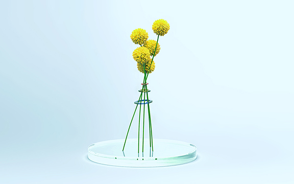 019 Slow Ring Tech, Slow Vase Tech